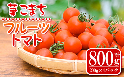 
s501 <先行予約受付中！2024年11月より順次発送>《期間・数量限定》華こまちフルーツトマト(計800g・200g×4パック) 鹿児島 国産 九州産 野菜 とまと トマト ミニトマト フルーツトマト サラダ【吉祥庵園芸】
