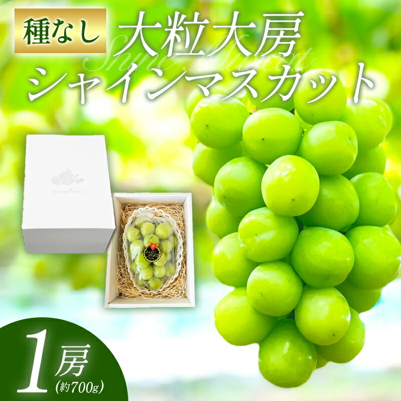 【ふるさと納税】 シャインマスカット 1房 700g 皮ごと食べられる 果物 フルーツ ぶどう ブドウ マスカット 新鮮 甘い 大粒 大きい 先行予約 季節限定 期間限定 お盆明け 特産品 お取り寄せ グルメ お中元 ギフト