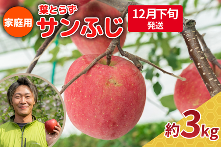 葉とらずりんご　約3kg【2025年12月下旬発送】サンふじ_家庭用_林檎_青森県五所川原市_中川農園