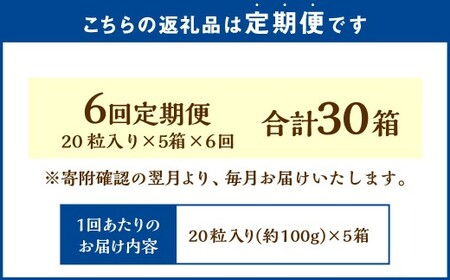 【6回定期便】 《冷凍》 北海道生チョコレート （抹茶） 5箱×6回 合計30箱 生チョコレート 生チョコ チョコレート チョコ スイーツ 北海道 小樽市