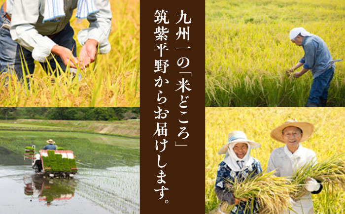 福岡県産 元気つくし 玄米 5kg×1袋 吉富町/株式会社ベネフィス [BGAF026]