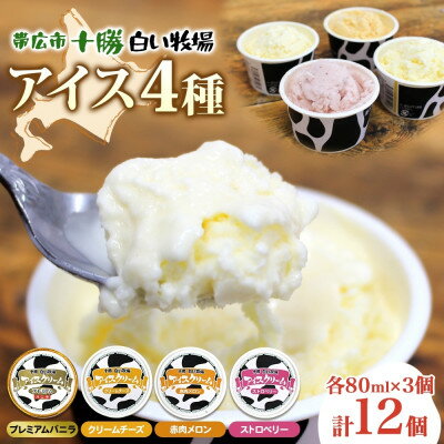【ふるさと納税】十勝白い牧場アイス 全味食べ比べセット(4種×各3個)【配送不可地域：離島・沖縄県】【1675554】