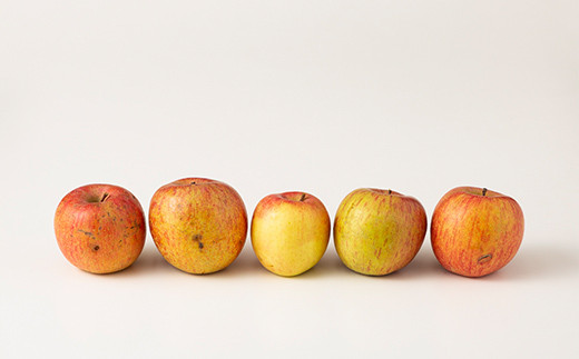 FYN9-913 【農業者支援】 加工用 山形県産 品種おまかせ りんご 約5kg くだもの フルーツ 林檎 リンゴ アップル 秋果実 生産者支援 農業者支援 支援品 自宅用 家庭用 訳アリ ワケアリ