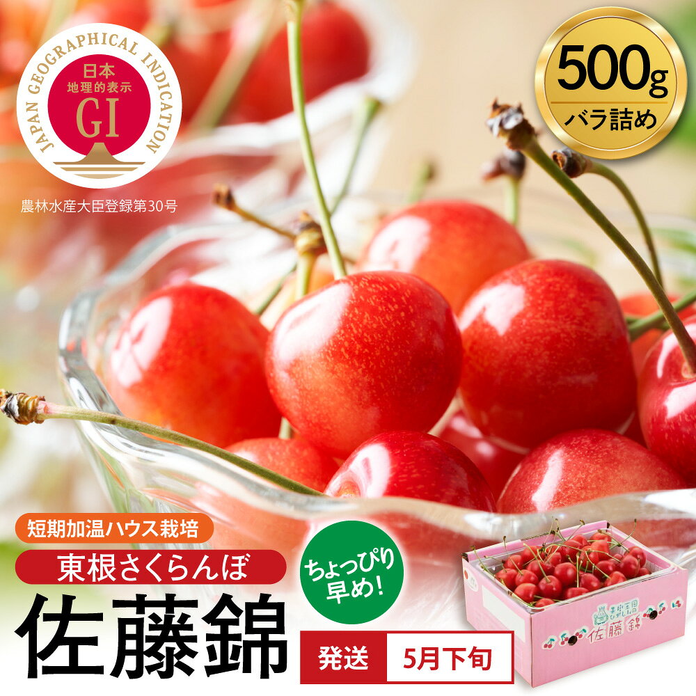 【ふるさと納税】＼先取り5月発送／ 2027年産 GI 「東根さくらんぼ」 佐藤錦 500g バラ詰め 短期加温 ハウス栽培 | 先行予約 令和9年 最高級 さくらんぼ チェリー 人気 フルーツ 果物 産地直送 お取り寄せ 贈答 ギフト 化粧箱 ご当地 産地直送 冷蔵 送料無料 山形県 東根市
