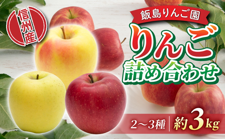【飯島りんご園】旬の色々りんごの詰め合わせセット　3kg（2～3種）※10月中旬～順次発送