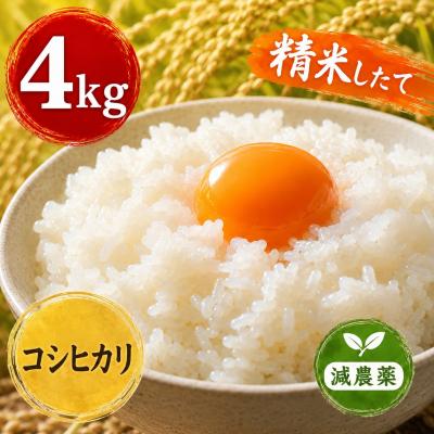 ふるさと納税 石巻市 新米 令和8年産 ヨシ腐葉土米 コシヒカリ 精米4kg