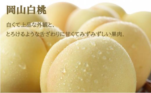 桃 ぶどう 2024年 先行予約 岡山 白桃 エース 2玉×約250g（2Lサイズ、早生種・中生種 ） シャイン マスカット 晴王 1房約500g 詰め合わせ 岡山県産 フルーツ