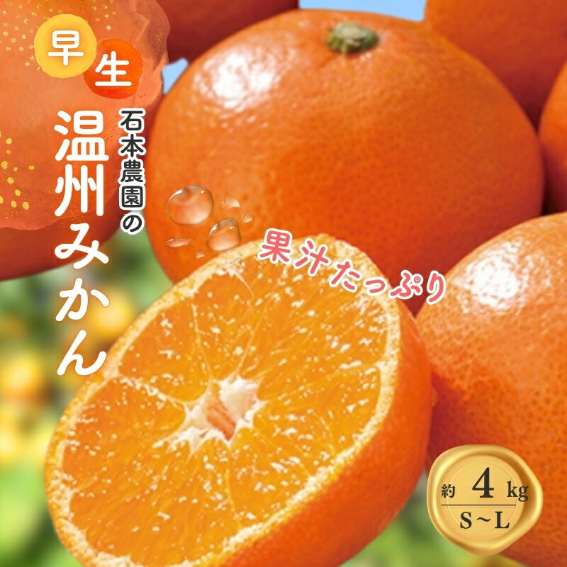 【ふるさと納税】 S-Lサイズいずれか 石本農園の早生温州みかん 約4kg【2026年11月下旬から12月末頃までに順次発送】/ みかん ミカン 蜜柑 早生 温州