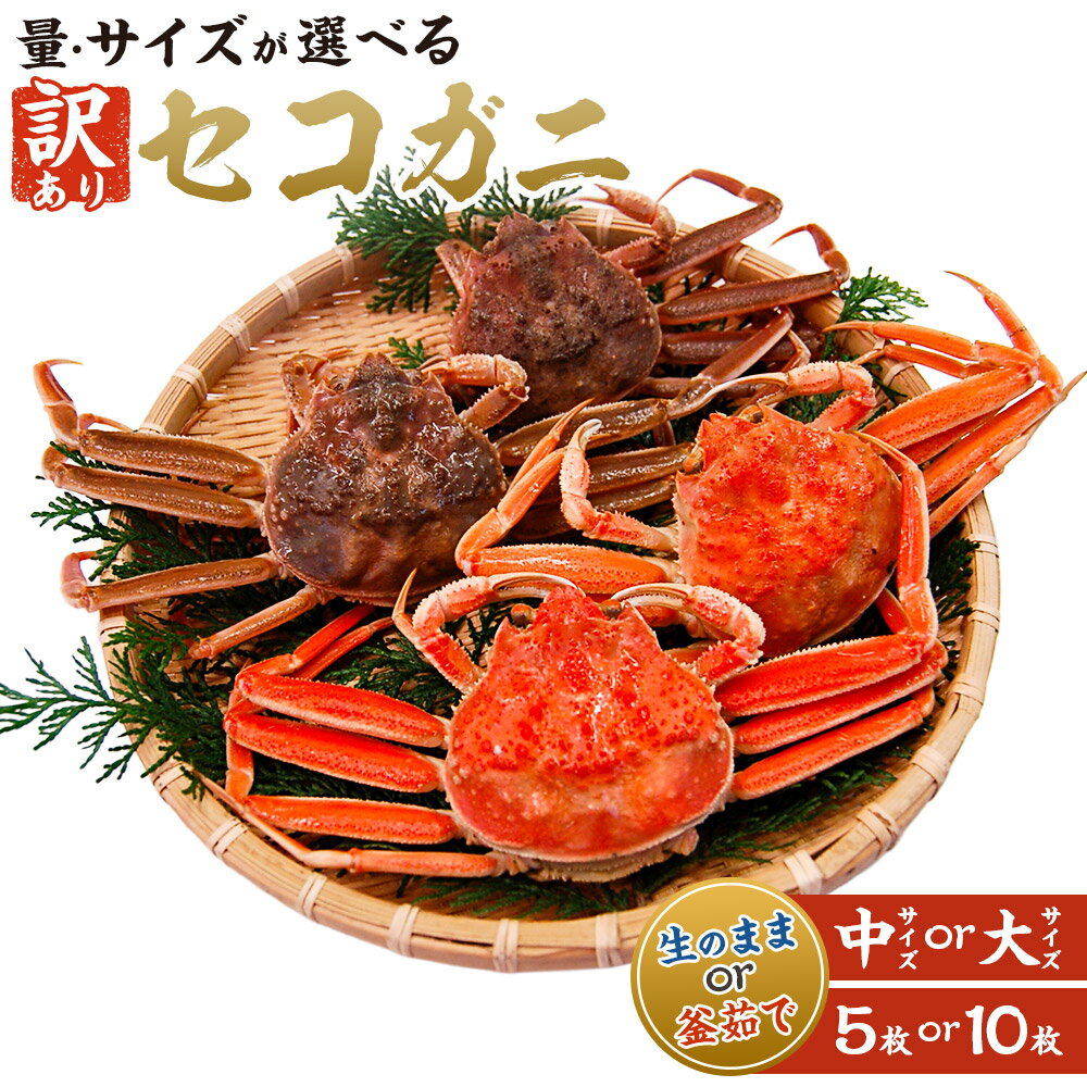 【ふるさと納税】【訳あり】松葉ガニの本場・生セコガニ/釜茹でセコガニ（冷蔵）中～大サイズ 5枚 または 10枚 セコガニ 蟹 カニ かに 松葉ガニ 生 釜茹で 内子 外子 蟹味噌 カニミソ 訳あり 訳アリ 兵庫県 新温泉町 送料無料【2025年11月上旬～12月下旬迄発送予定】