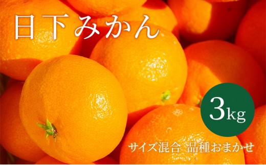 
                  【2026年10月以降順次発送】日下みかん サイズ混合 2S～2L 3kg 秀品 果物類 柑橘類 フルーツ 農薬 有機肥料 光センサー 高品質 おいしい 
                