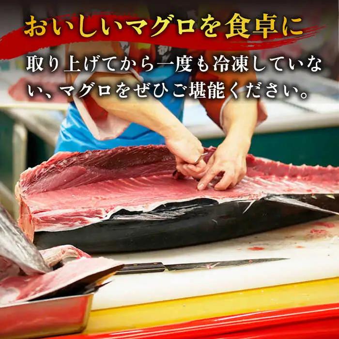 五島列島産養殖生本かみまぐろ 中トロ 刺身 500g[RBP051] 本マグロ 本まぐろ 本マグロ 本まぐろ 本マグロ 本まぐろ 本マグロ 本まぐろ 本マグロ 本まぐろ九州 長崎