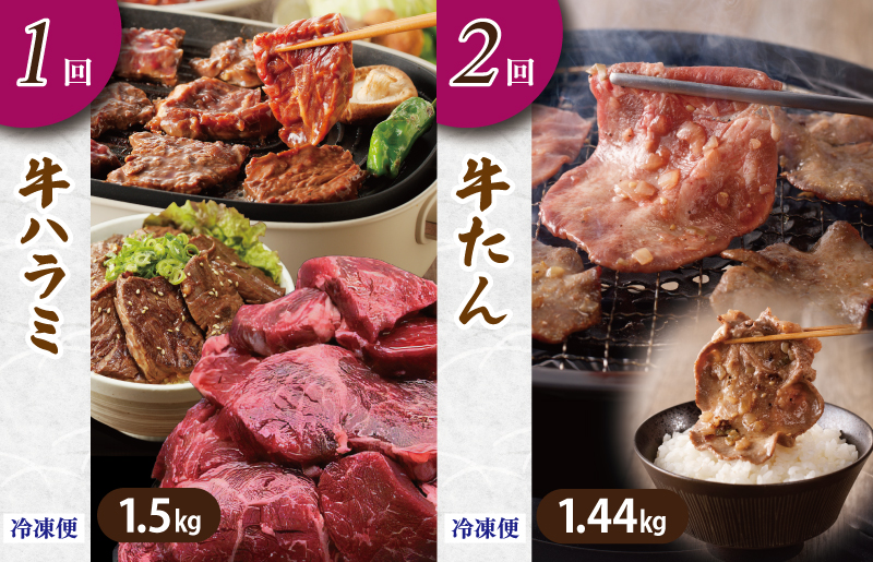アキラ商店 肉三昧 プレミアム 定期便 全6回【毎月配送コース お楽しみ 焼肉 ていきびん 焼くだけ 小分け BBQ やきにく 数量限定】 099Z129