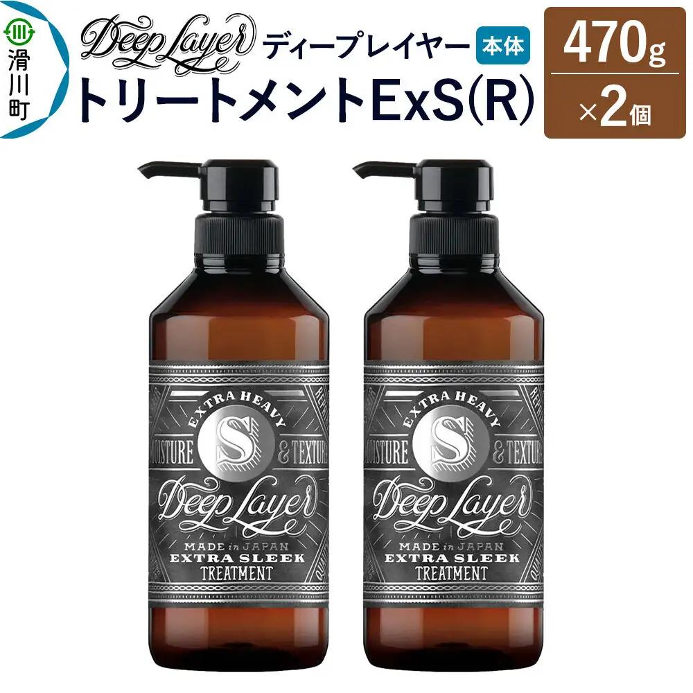 DeepLayer ディープレイヤー トリートメント ExS (R) 470g×2個