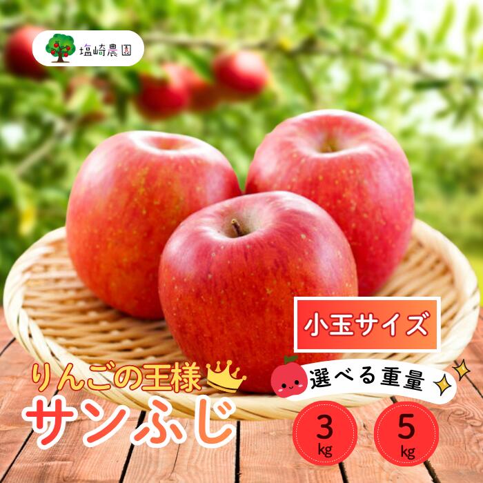 【ふるさと納税】【先行予約】サンふじ 小玉 信州 りんご 選べる 3kg 5kg ＜出荷時期：2025年12月中旬ごろ〜＞（2025年産） (7-A42-1-2)【 りんご フルーツ 長野県 飯山市 甘味 酸味 リンゴ 林檎 くだもの 果物 ギフト プレゼント 】