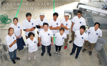 吟醸 芋 焼酎 磨き大島（720ml×２本）＜大島酒造＞[CCP004] 長崎 西海 酒 焼酎 こだわり焼酎 通販芋焼酎 酒 お取り寄せ焼酎 焼酎ギフト 芋焼酎セット 酒 焼酎飲み比べ 焼酎 芋焼酎 