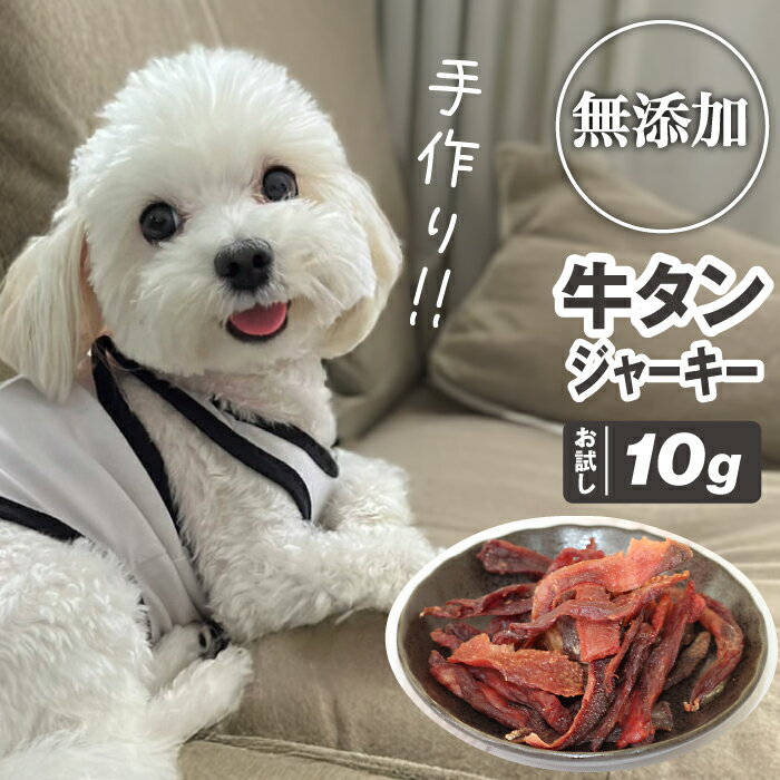【ふるさと納税】 訳あり ジャーキー おすすめ 犬用 無添加 10g お試し ／ 牛タンジャーキー 牛たん おやつ ワンちゃん用 犬 イヌ ペット ごはん エサ えさ 餌 ご褒美 大好き 遊び 高たんぱく 低カロリー 10g ドックフード ペットフード 岩手県 滝沢市 送料無料 ASJフーズ