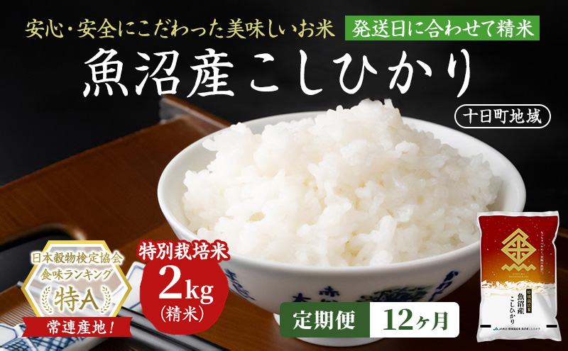 【令和8年産 先行予約】【12ヶ月定期便】特別栽培米 魚沼産こしひかり(十日町地域) 精米 2kg 米 お米 コシヒカリ 定期 十日町市