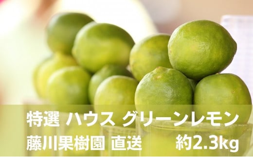【2025年 先行予約】みどり認定 ハウス栽培グリーンレモン 約2.3kg 国産レモン 香川 果物類／柑橘類／みかん レモン　 