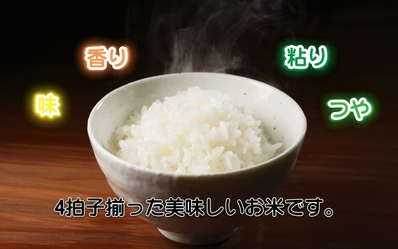 令和7年産 伊賀米コシヒカリ 10kg（3ヶ月連続）【jaig-tkb0001】