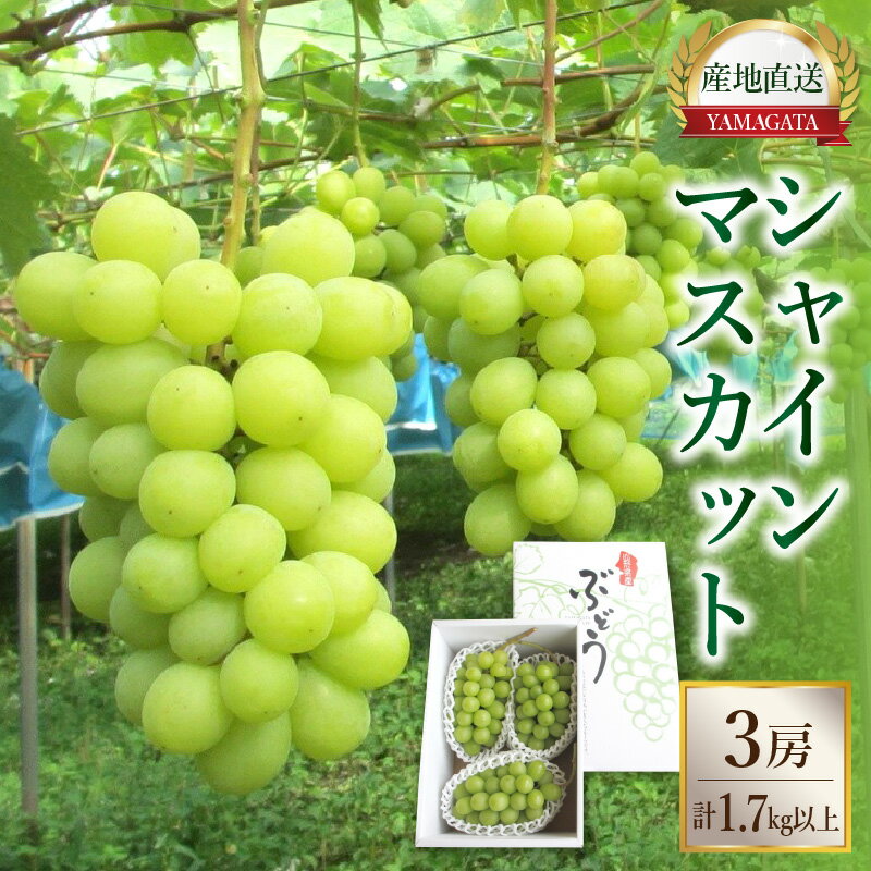 【ふるさと納税】ぶどう （ シャインマスカット ） 1.7kg以上 3房 葡萄 フルーツ 果物 東北 山形県 上山市 0085-2603