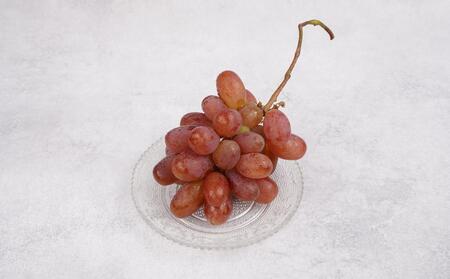 ぶどう 2025年 先行予約 紫苑 秀品 粒だけ 約2kg 岡山 国産 果物 フルーツ  2025年10月上旬から発送