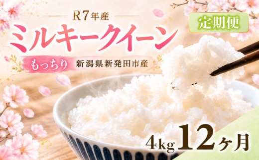 【定期便】令和7年産 ミルキークイーン 4㎏（2kg×2袋）× 12か月 定期便 米 お米 ごはん 白米 佐々木耕起組合 プレゼント ギフト 贈答 定期便 新潟県 新潟産 新発田産 D46_002