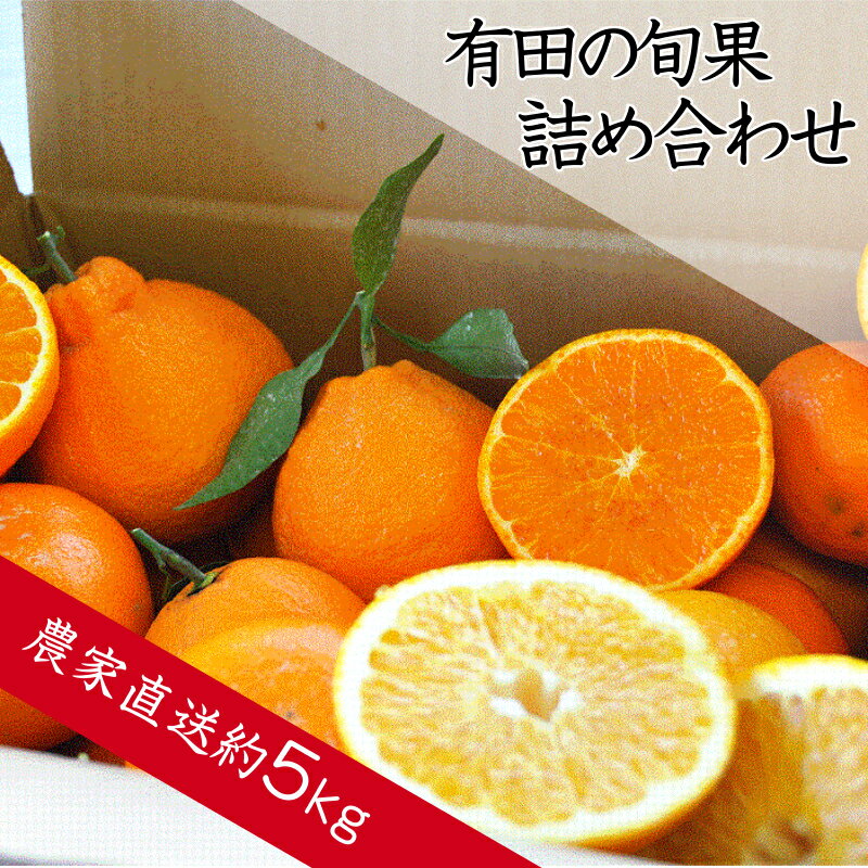 【ふるさと納税】みかん類 5kg 有田の人気の旬果 詰め合わせ | 不知火 清見 ブラッドオレンジ 南津海 甘夏 せとか 八朔 さつき八朔 伊予柑 甘夏 春峰 レモン はるか たまみ べにばえ 柑橘 バランス フルーツ 果物 くだもの みかん 人気 おすすめ 和歌山 有田市（A152-1）