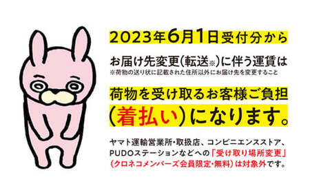 （有）朝日町ワイン 赤 辛口 12本(720ml×12) 朝日町産マスカットベーリーA・ブラッククイーン 家庭用 パーティー おもてなし