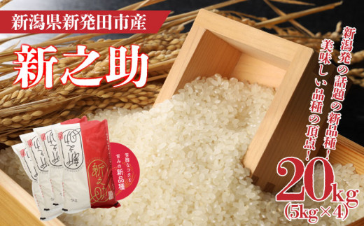【12月発送】 令和7年産 新之助 20kg 5kg×4袋 新米 お米 こめ ご飯 ごはん おいしい 新潟 新潟県 米 5kg 20kg 新発田産 新潟産 朝食 昼食 夕飯 炊きたて 精米 ブランド watasho009_202512