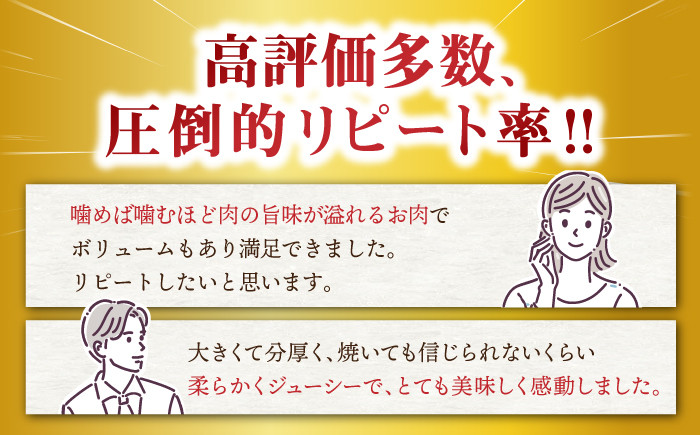 長崎和牛 ヒレ ステーキ 肉