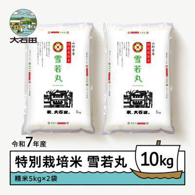 ふるさと納税 大石田町 【6月下旬発送】 米 令和7年産 雪若丸 10kg 山形県大石田町産 特別栽培米 精米