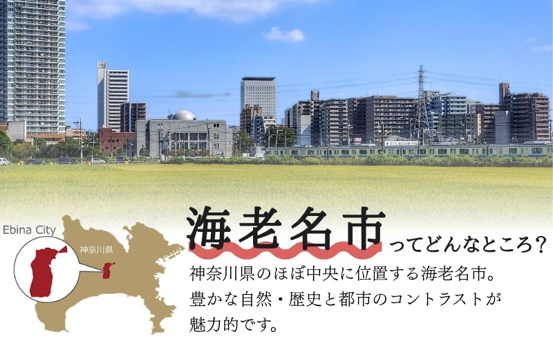 
取付カンタン！超高輝度反射板〔丸型〕
