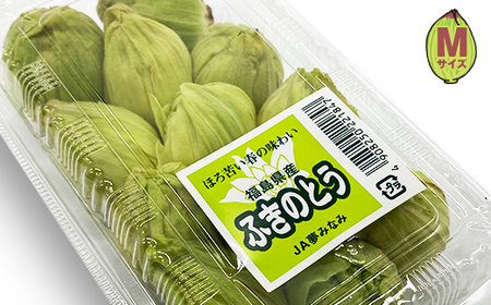 収穫から24時間以内に発送！ほろ苦い春の味わい「ふきのとう」Mサイズ1パック100g（約12個） F21T-349