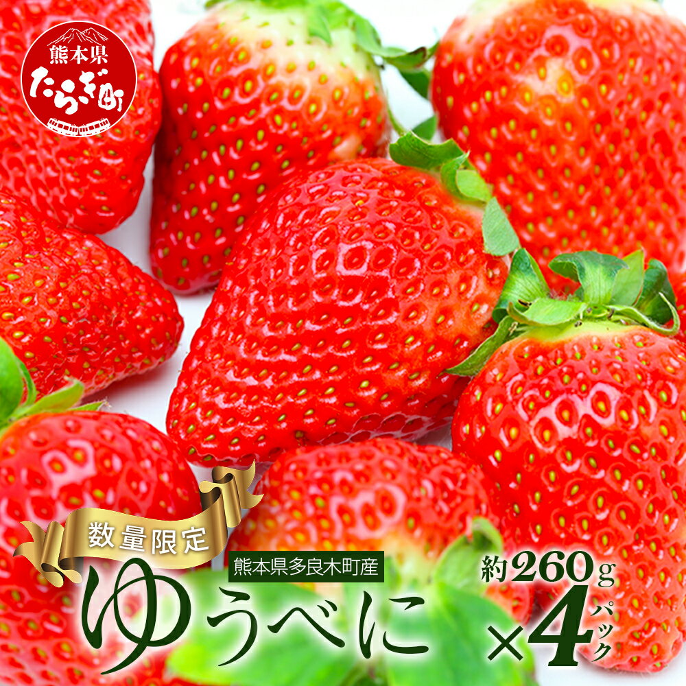 【ふるさと納税】 熊本県産 いちご【ゆうべに】約260g×4パック 2026年1月～発送 坂下農園 産地直送 国産 新鮮 フレッシュ イチゴ 4パック 苺 フルーツ 果物 春 名産 熊本 多良木町 ビタミン 旬 いちご フルーツ 果物 くだもの 果実 熊本県 多良木町 送料無料