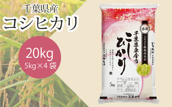 
No.162 令和5年産 千葉県産コシヒカリ5kg×4袋 ／ お米 こしひかり 千葉県
