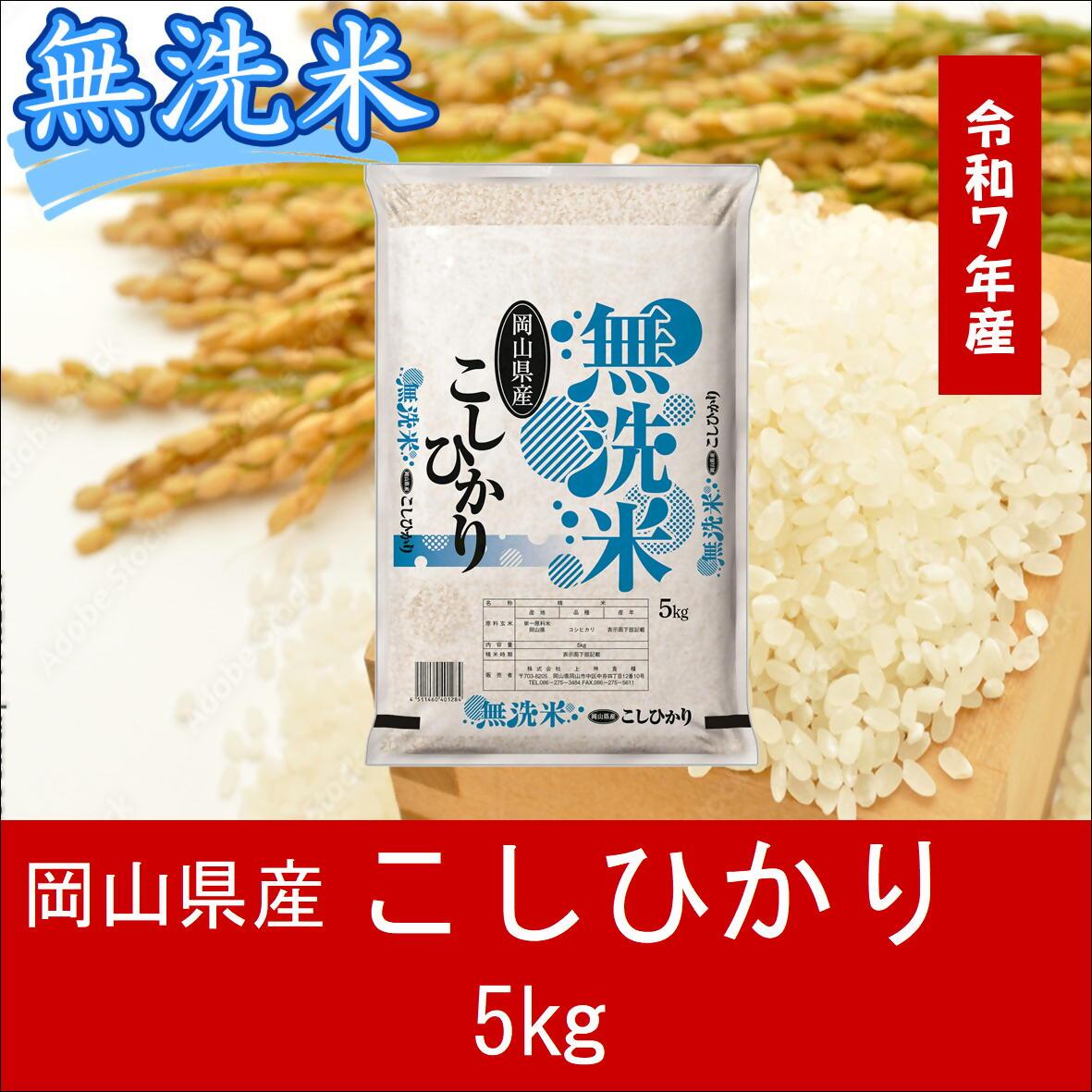 【無洗米】　令和７年産　岡山県産　こしひかり100%　5kg　｜最短2-7営業日出荷｜　上-12