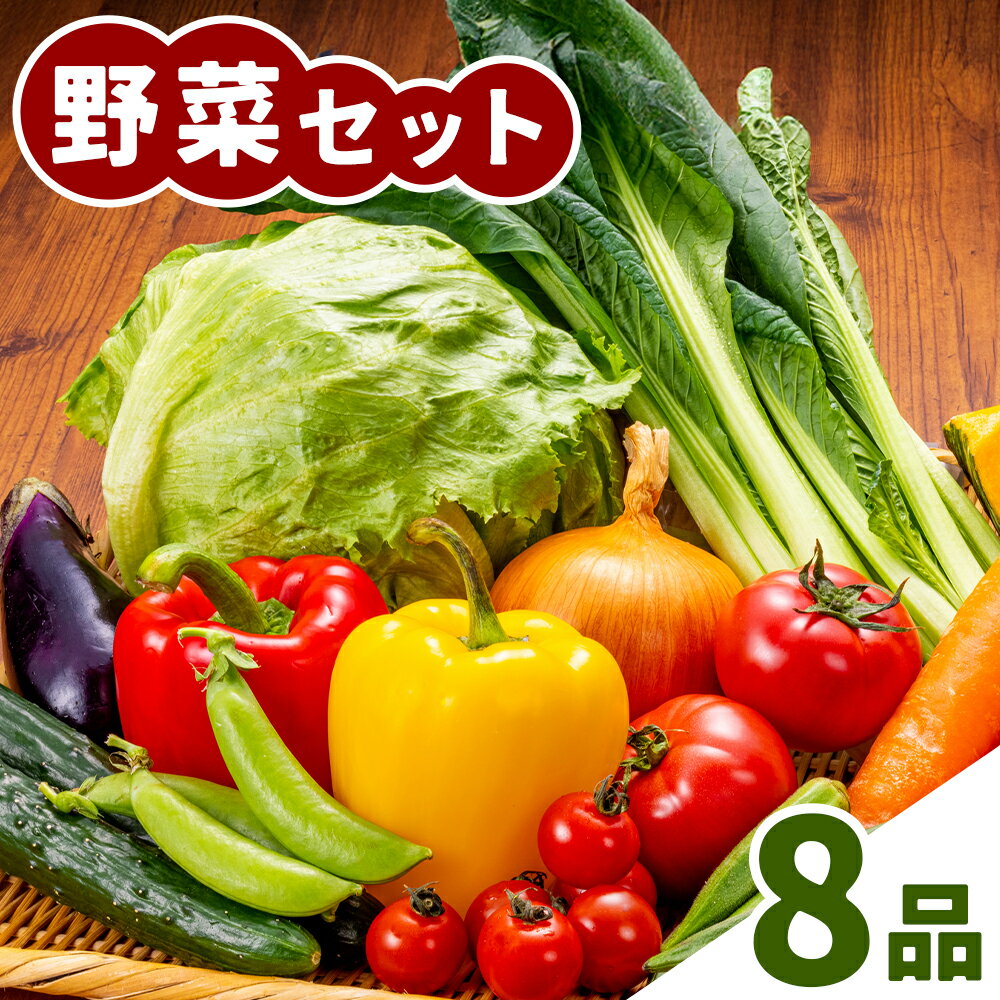 【ふるさと納税】野菜セット 8品 養生市場 詰め合わせ セット 品種おまかせ 有限会社七城町特産品センター《90日以内に出荷予定(土日祝除く)》熊本県 菊池市 ランダム 野菜 旬の野菜 九州産 熊本県産