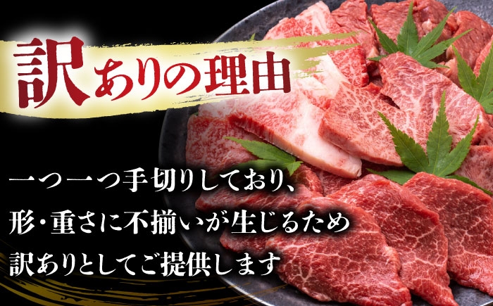 長崎和牛 和牛 国産 牛肉