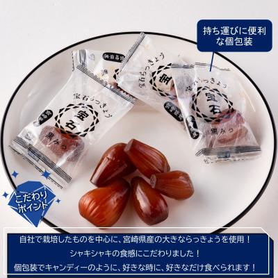 ふるさと納税 三股町 <宮崎県産>宝石らっきょう　黒みつ(70g×4袋・計280g)【MI118】 |  | 01