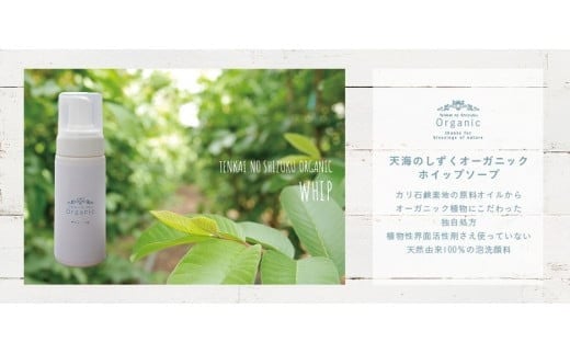 
            天然原料100％の天海のしずくオーガニックコスメ 3点セットA | 化粧品 化粧水 美容液 ホイップ ソープ オーガニック コスメ グアバ 美容 美肌 柚子 ゆず 自家栽培 びよう 詰め合わせ 人気 おすすめ 高知県 南国市
          