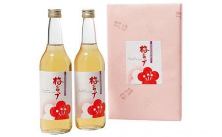 梅ジュース 梅シロップ 700g × 2本 入り 紀州青梅使用 【梅 シロップ うめ シロップ 和歌山 シロップ 青梅 ジュース ドリンク ジュース 飲料 ジュース 炭酸割り シロップ ソーダ割り シ
