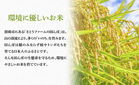 米 米-1グランプリ金賞 定期便 9ヶ月 北海道 無洗米 ななつぼし 10kg（5kg ×2袋） 南るもい産 お米 こめ コメ おこめ 白米 ふるさと納税米 ふるさと 南るもい さとうファーム 留萌 