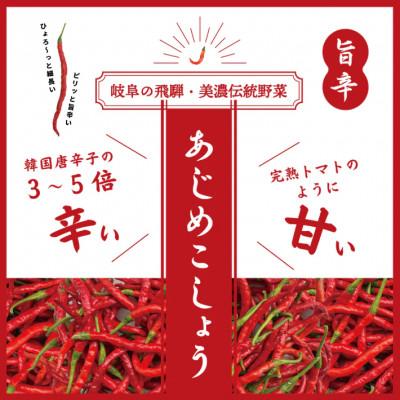 ふるさと納税 恵那市 LGASIA (ルガシア) オリジナルスパイスAJIME 15g×2本,50g×2本,100g×2本 |  | 03