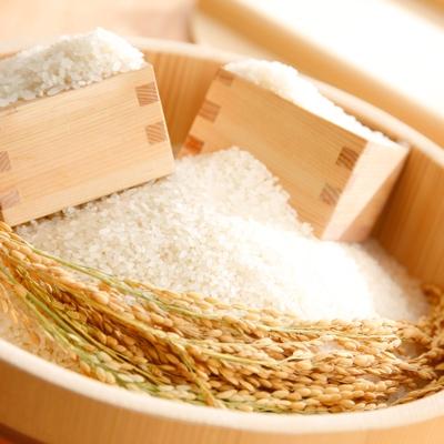 ふるさと納税 近江八幡市 【令和8年産】すっごいもちもち「しきゆたか」白米5kg |  | 01