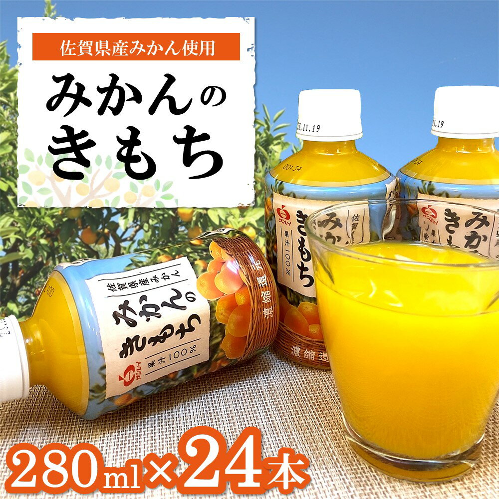 【ふるさと納税】みかんのきもち 280ml×24本(1ケース)【JA みかんジュース さがみかん 果汁100％ 美味しい コク 飲みきり 280ml】A2-R012027