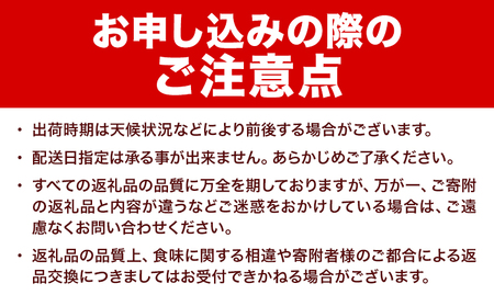 令和6年産 北海道名寄産ホワイトコーン＆スイートコーンイエロー食べ比べセット L～2Lサイズ各10本計20本《8月中旬-9月中旬頃出荷》NPO法人なよろ観光まちづくり協会 とうもろこし 食べ比べ 旬 
