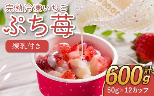 
            いちご 冷凍 合計600g （ 50g×12カップ） 練乳 完熟 冷凍 いちご 「ぷち苺」 50g×12カップ 合計600g 練乳付き 1本（120g） 園村苺園
          