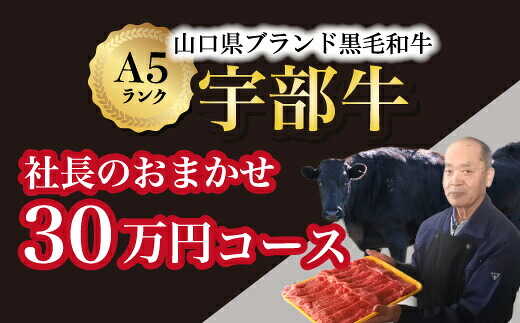 【ふるさと納税】【宇部牛】社長おまかせ ＜30万円コース＞ 黒毛和牛A5ランク宇部牛 山口県 宇部市 こだわり ブランド 希少部位 骨付き 焼肉 すき焼き BBQ しゃぶしゃぶ ステーキ お祝い クリスマス お誕生日[BTAJ015]