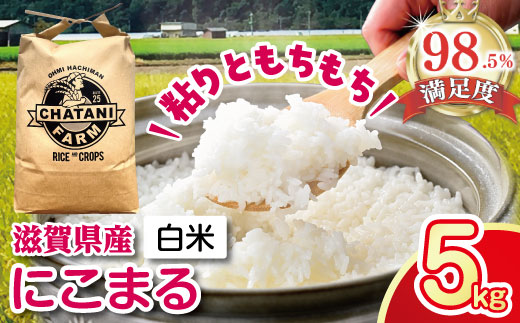 【新米】【7年産】近江米にこまる白米5kg【V017W1】