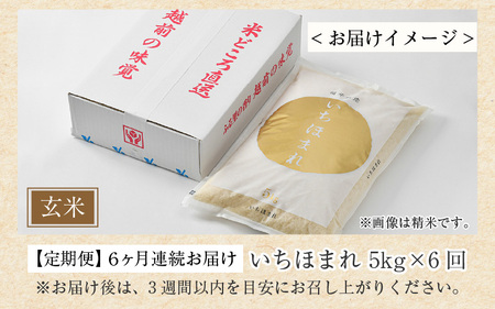 【令和7年産・新米】定期便6回 いちほまれ 玄米 5kg×6回（計30kg）《新鮮な高品質米をお届け！》／ 福井県産 ブランド米 ご飯 [aw064-h004]